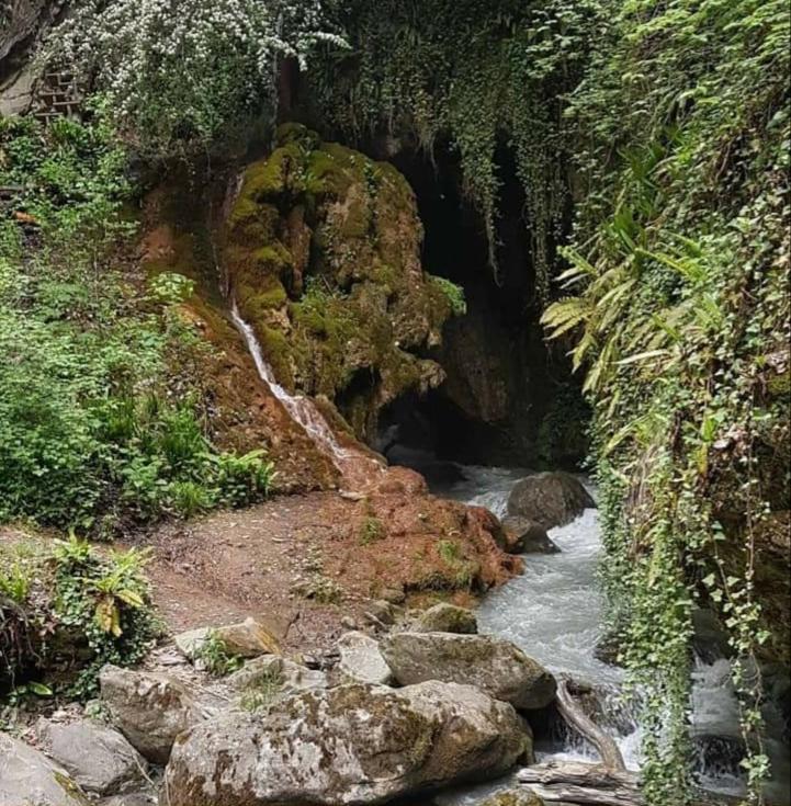 Chez Constance Otel Saillon Dış mekan fotoğraf